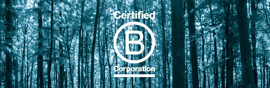 B corp rectangle