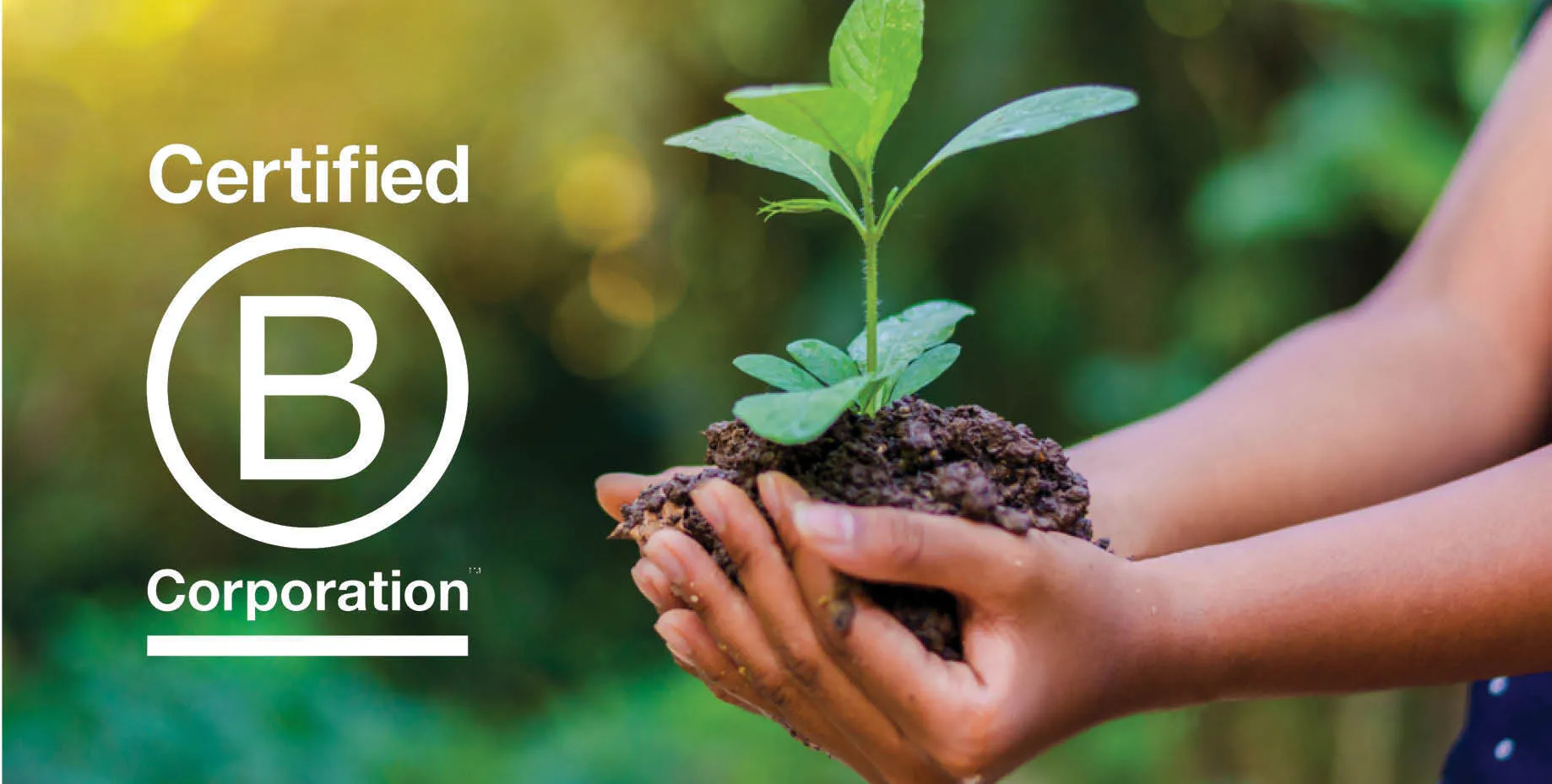B Corp logo and hands holding soil with seedling growing