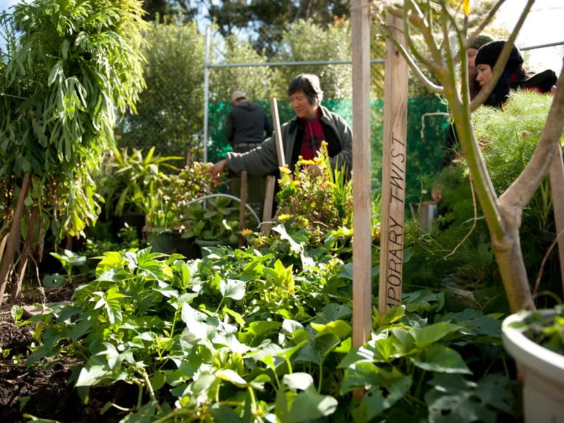 Cooking Cultivating Community HR 2 of 43