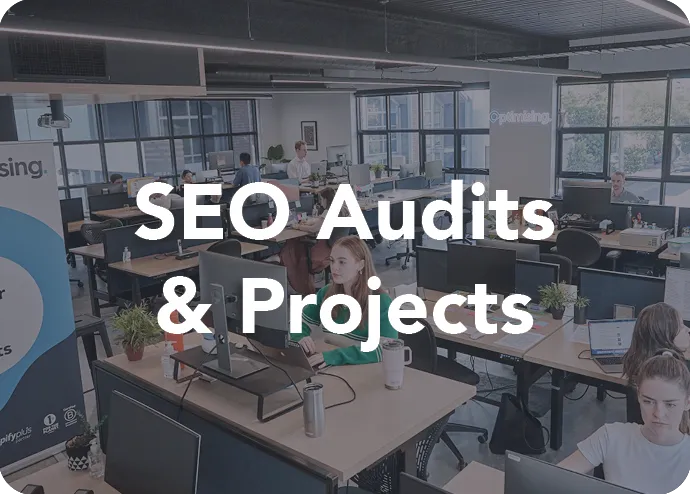 SEO Audits Projects