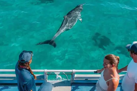 Tourism WA Tile
