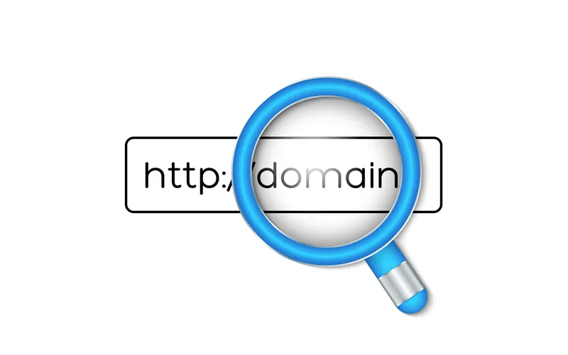 Domain cloacking