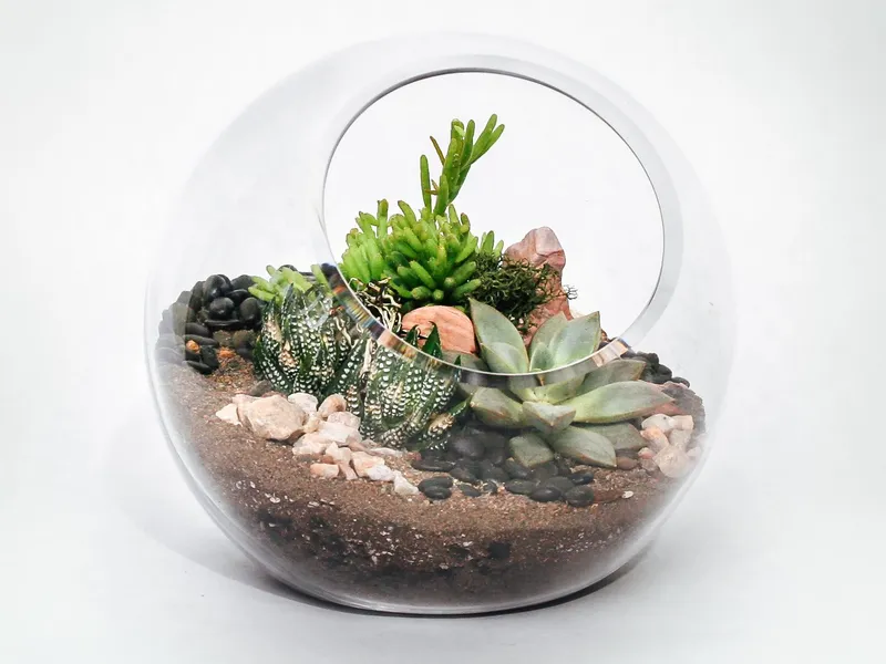 Terrarium