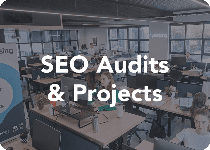 SEO Audits Projects