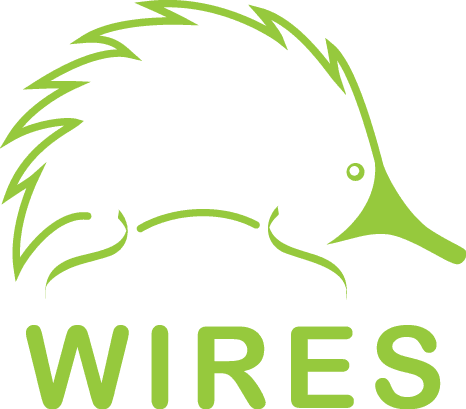 wires logo