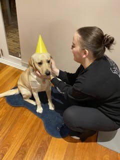 Playing with a dog wearing a party hat