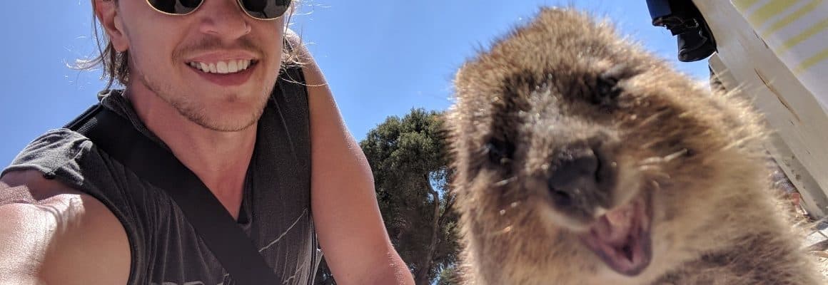 Quokka